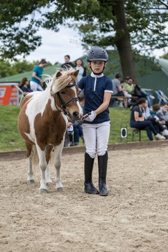 Bild 190 - Pony Akademie Turnier
